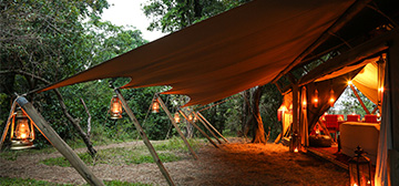 Image of Mara Toto Camp